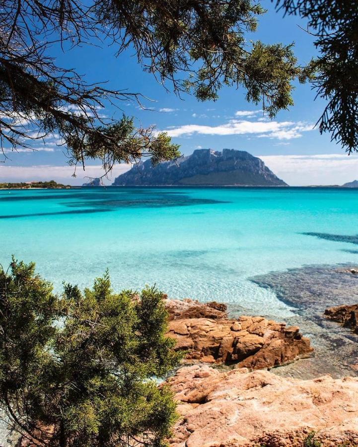 Porto Istana Beach House Olbia Dış mekan fotoğraf